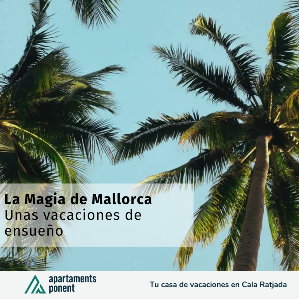 La Magia de Mallorca: todo lo que necesitas para unas vacaciones de ensueño