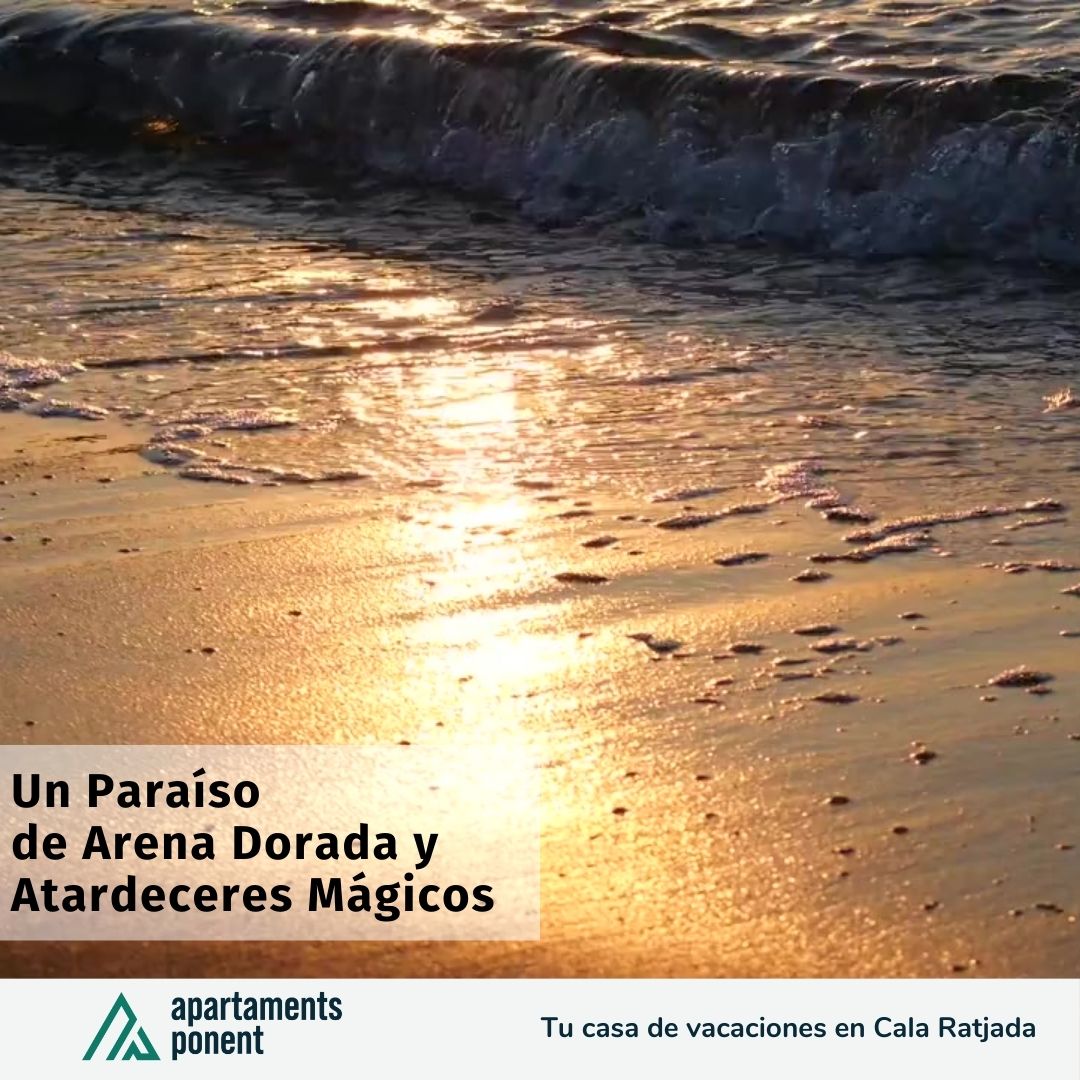 En el corazón del Mediterráneo se esconde un tesoro: Mallorca, un destino que promete serenidad y encanto a cada paso. Imagina sus playas de arena dorada acariciando tus pies, mientras el sol pinta el cielo con tonos anaranjados al atardecer. Aquí, cada rincón cuenta una historia, y cada ola susurra secretos de tranquilidad. La magia de Mallorca no solo reside en su paisaje paradisíaco, sino también en la esencia que captura el alma de todo aquel que la visita.