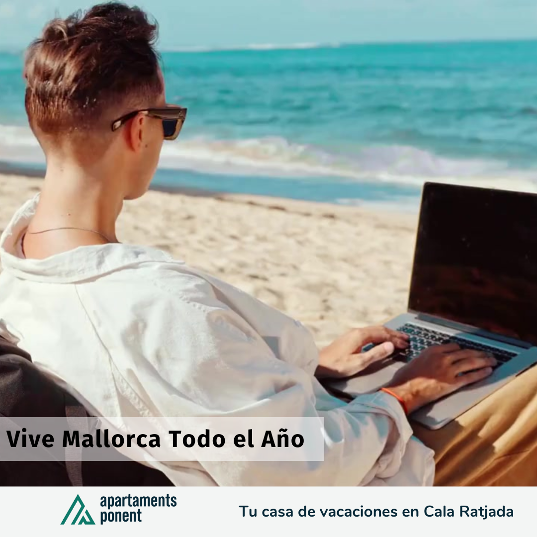 Vive Mallorca Todo el Año - ESP