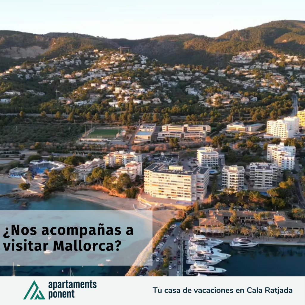 Mallorca, una joya en el corazón del Mediterráneo, es un paraíso que espera ser explorado. Esta isla, la más grande de las Baleares, es un mosaico de experiencias inolvidables, donde la naturaleza, la historia y la cultura se entrelazan para crear un destino sin igual.